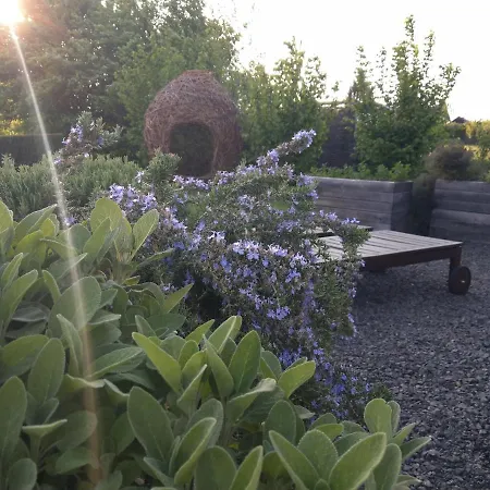 Vikendica Hisice Carna - Carna