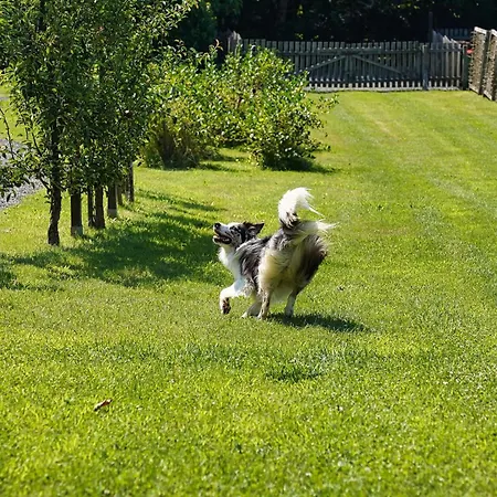 Hisice Carna - Carna * Puconci