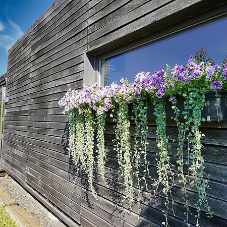 Hisice Carna - Carna * Puconci