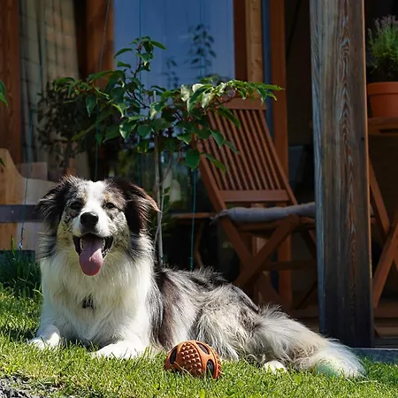 Vikendica Hisice Carna - Carna *