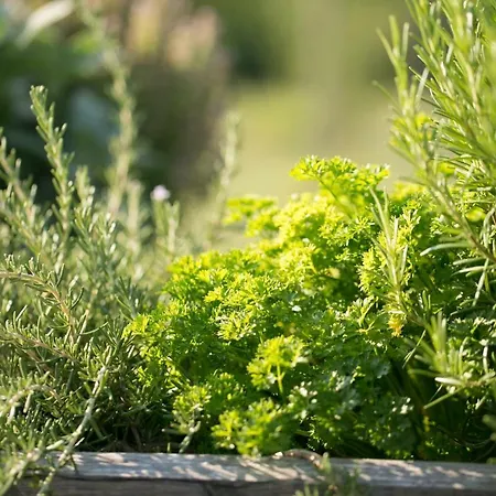 Σπίτι διακοπών Hisice Carna - Carna