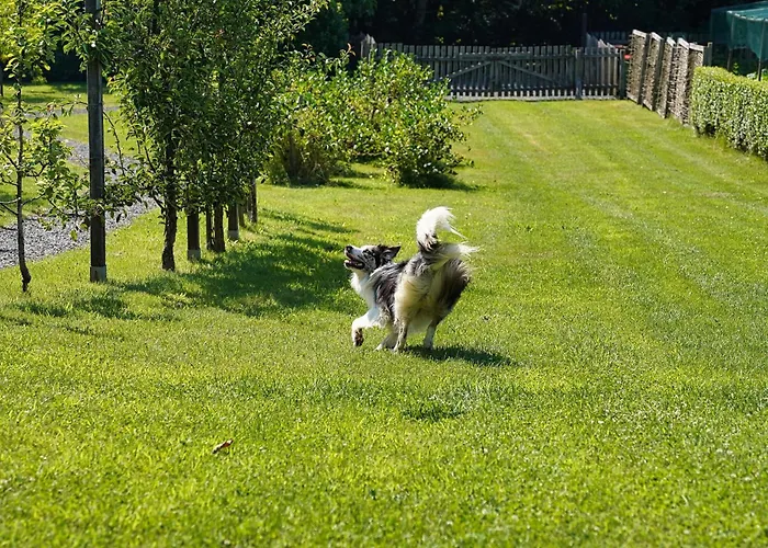 Hisice Carna - Carna * Puconci