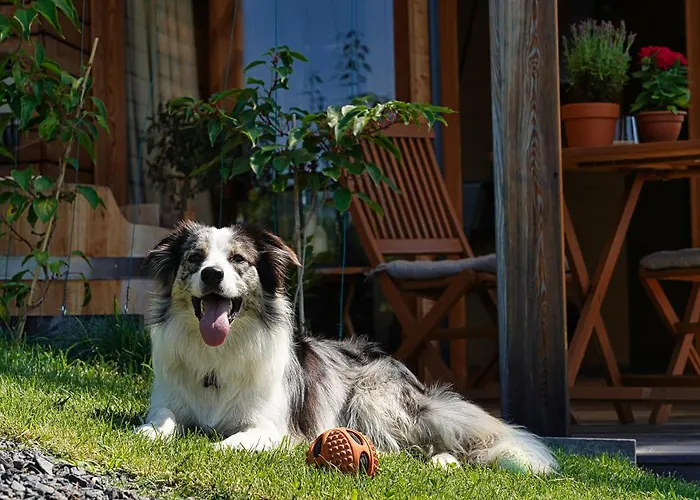 別荘 Hisice Carna - Carna *