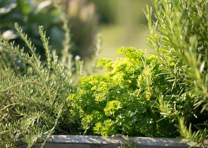 Σπίτι διακοπών Hisice Carna - Carna