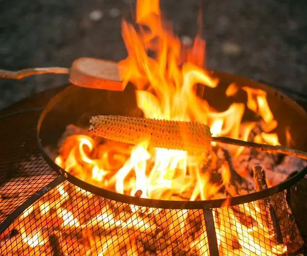 Hisice Carna - Carna *